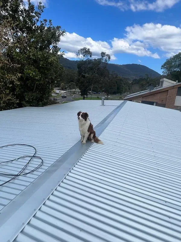 Valley Plumbing & Roofing website